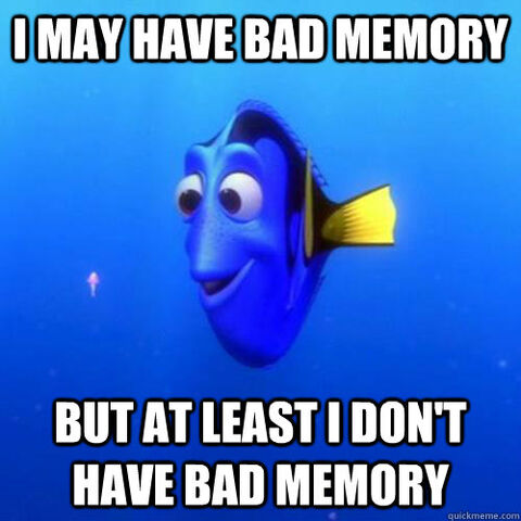 File:Bad memory.jpg