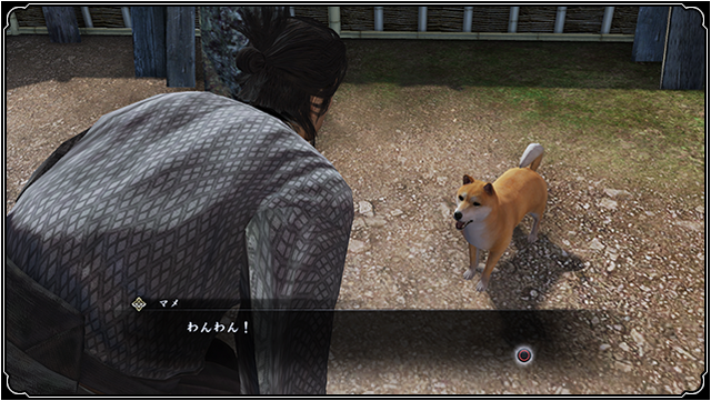 ファイル:Pet.png