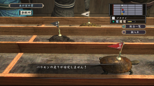 File:Turtle race 005.png