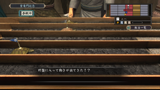 File:Turtle race 007.png