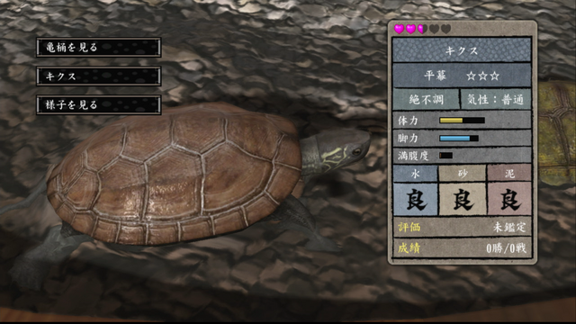 File:Turtle tub - stats.png
