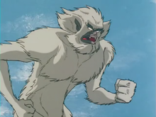 Yeti
