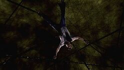 Dean-Hell.jpg