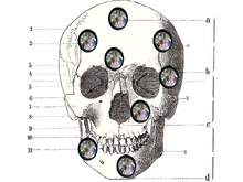 Cranial blindspots