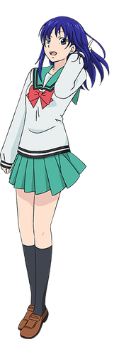 File:Teruhashi Kokomi Full Design 2.png