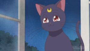 Luna.jpg