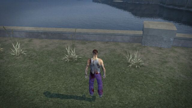 File:Bloody Carlos Back.jpg