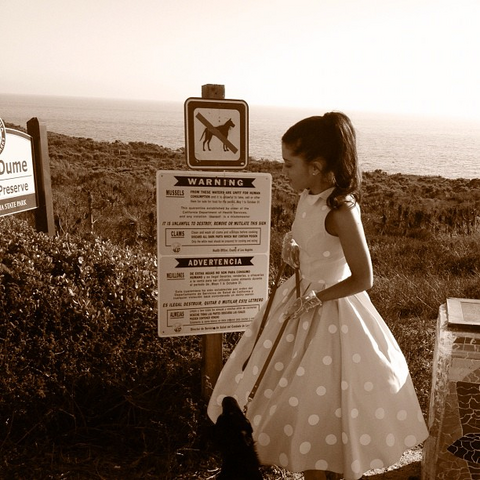 File:Ariana with a dog at a beach prohibiting dogs.png