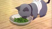 Sankarea-ep-8-2