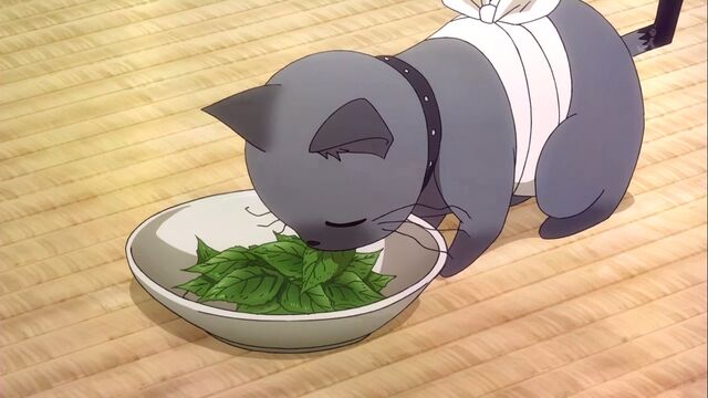 Plik:Sankarea-ep-8-2.jpg