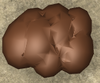 Boar Hide