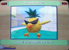 Pineapple Finch
