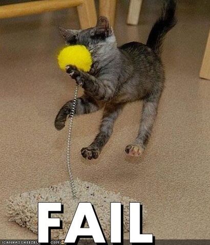 File:Fail cat.jpg