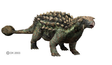 Ankylosaurus1