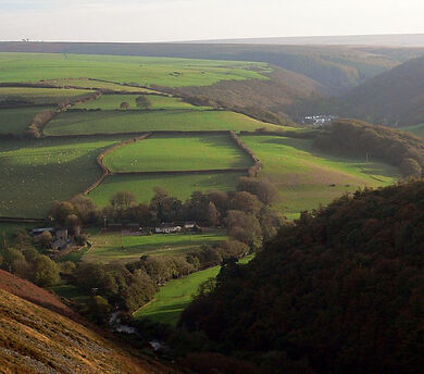 Exmoor Shadows