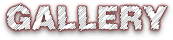 File:Gallery-header.png