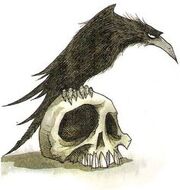 Raven pic