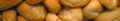 Thumbnail for version as of 18:32, November 16, 2009