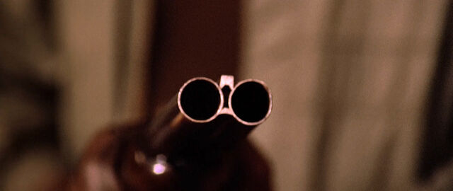 File:TheSkull-Shotgun.jpg