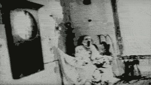 Datei:Russisches Schlafexperiment 3.jpg