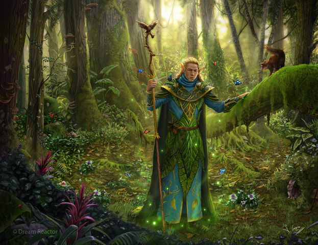 File:Elf druid by 1oshuart-d64ocll.jpg