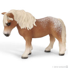 Falabella Mare
