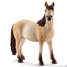 Mustang Mare