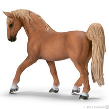 Tennesse Walker Stallion