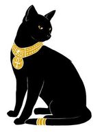 Catblack