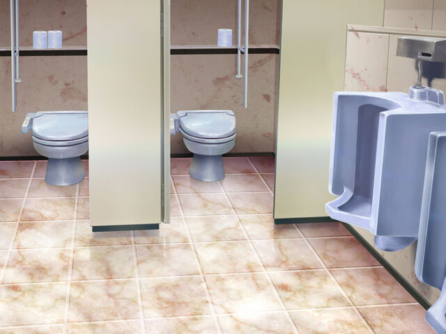 Файл:Toiletm.jpg