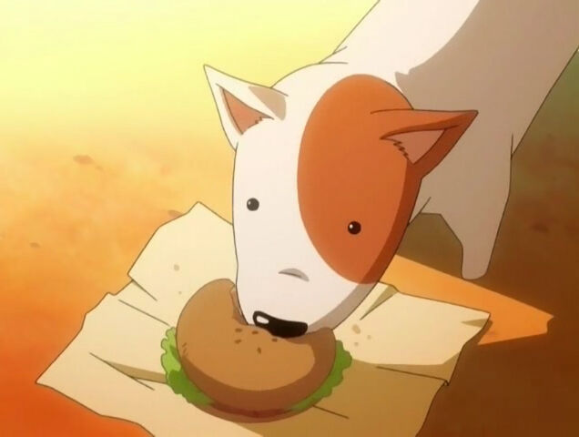 File:Imadori dog.jpg