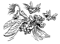 Склиссы.gif