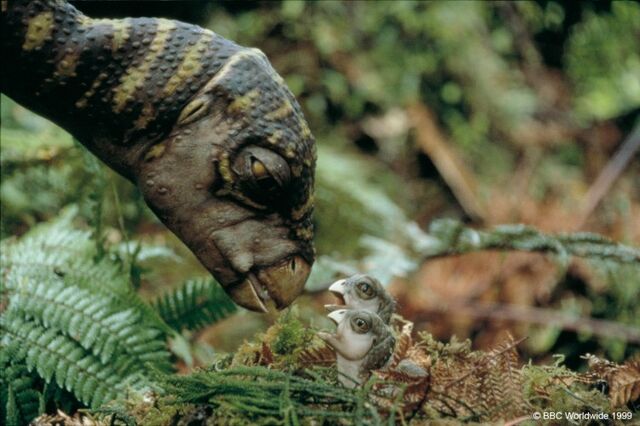 File:Walking with Dinosaurs (4).jpg