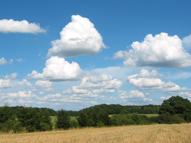 File:Cumulus 02.jpg
