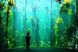 Dream-15-goog.jpg