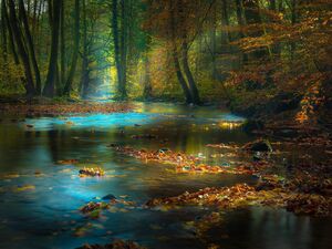 Magic-01-goog.jpg