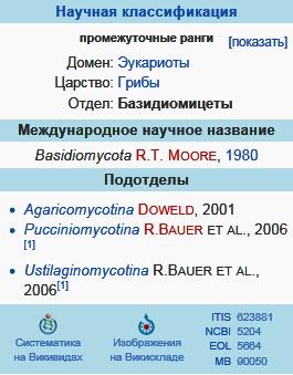 Базидиомицеты