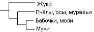 Cladogram-example1-rus