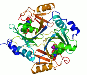 Enzyme-wik