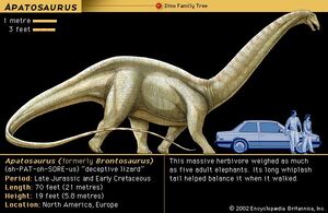 DinosaurusesApatosaurus-goog.jpg