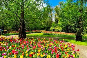 Garden-01-goog.jpg