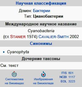 Цианобактерии
