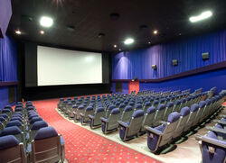 Cinema-01-goog.jpg