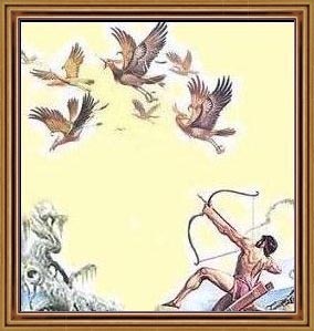 Hercules-Birds-goog.jpg