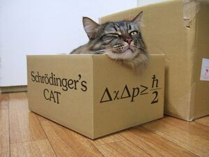 Schrodinger-Cat-01-goog.jpg