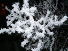 Snow crystallization in Akureyri 2005-02-26 19-03-37