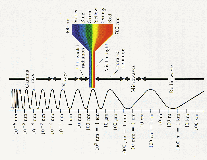 Image - Electromagnetic-Spectrum-06-goog.gif | Science Wiki | FANDOM