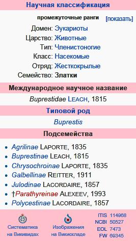 Златки