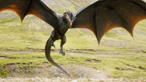 Game-of-thrones-season-4-dragon