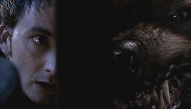 File:Tooth and Claw.jpg